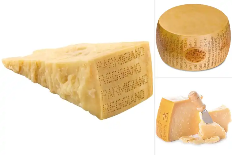 Detailed view of Best Aged Italian Cheeses