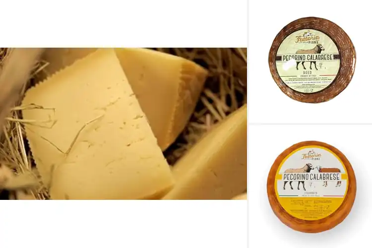 Detailed view of Best Aged Pecorino Calabrese Cheese