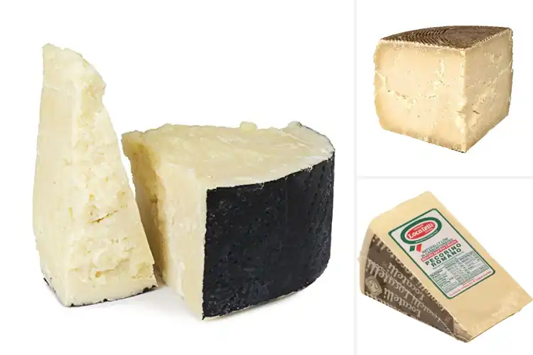 Detailed view of Best Aged Sheep’s Milk Cheeses: Bold Flavors to Savor