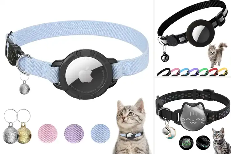 Detailed view of Best Airtag Cat Collars: Top Picks for Safe, Smart Tracking