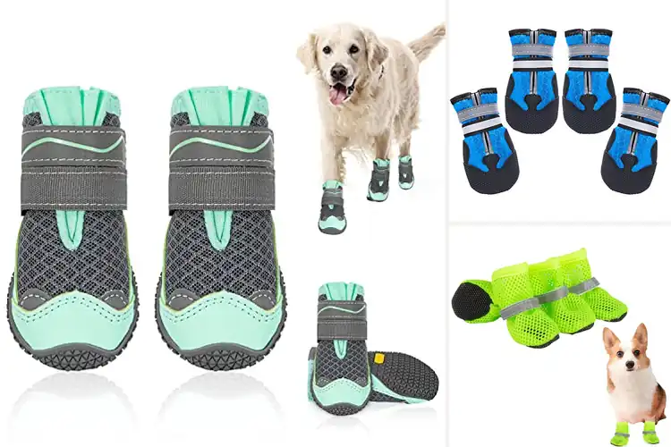 Detailed view of Best Breathable Dog Boots
