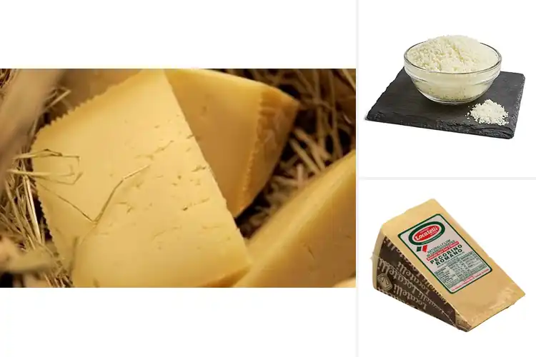Detailed view of Best Calabrese Pecorino Cheeses