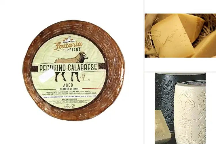Detailed view of Best Calabrian Pecorino Cheeses: Top Picks for Bold Flavor