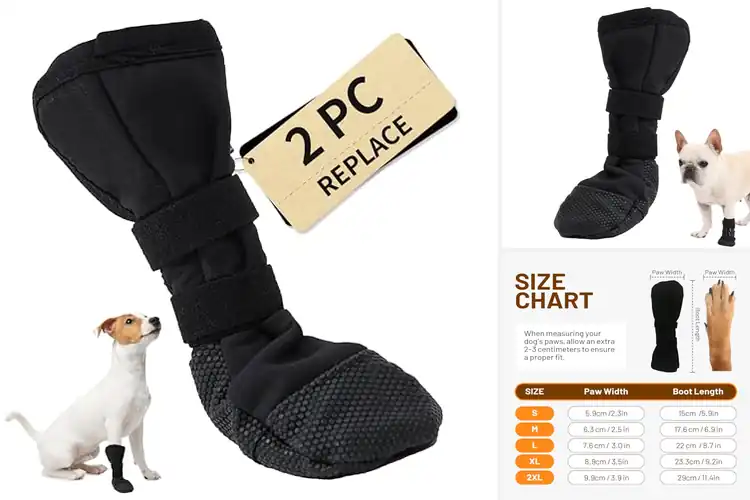 Detailed view of Best Dog Recovery Boots