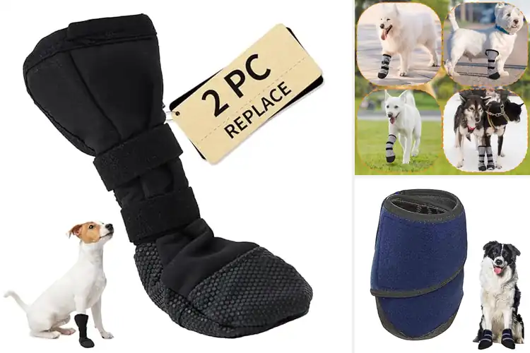 Detailed view of Best Dog Wound Care Boots