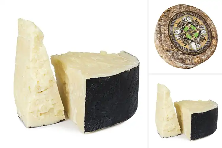 Detailed view of Best Gourmet Pecorino Cheese Wheels