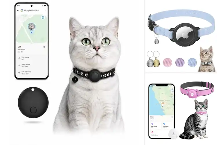 Detailed view of Best Gps Cat Collars: Top Safe Picks