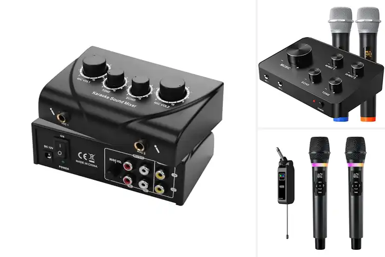 Detailed view of Best Karaoke MIC Inputs With Echo