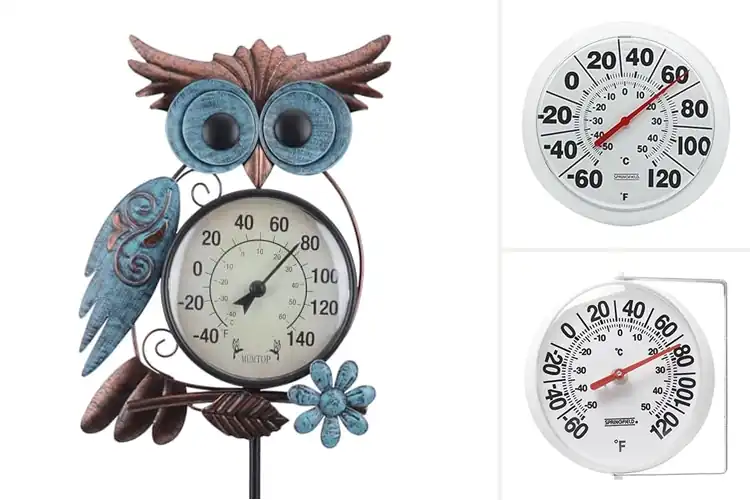 Detailed view of Best Outdoor Thermometers For Gardens