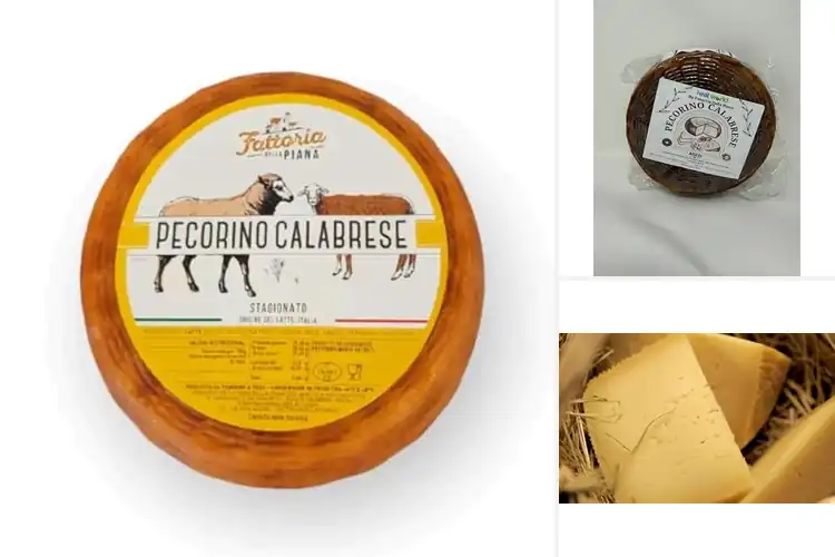Detailed view of Best Pecorino Calabrese Wheels for Bold Flavor