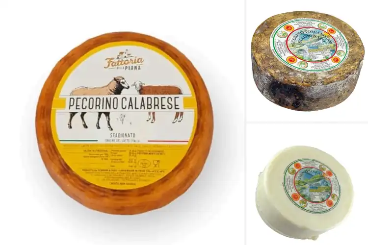 Detailed view of Best Places To Buy Whole Pecorino Wheels Online