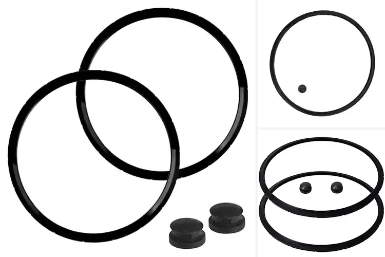 Detailed view of Best Pressure Cooker Sealers