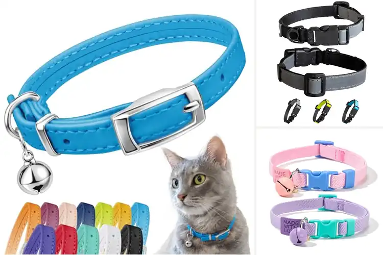 Detailed view of Best Safety Elastic Cat Collars for Everyday Protection