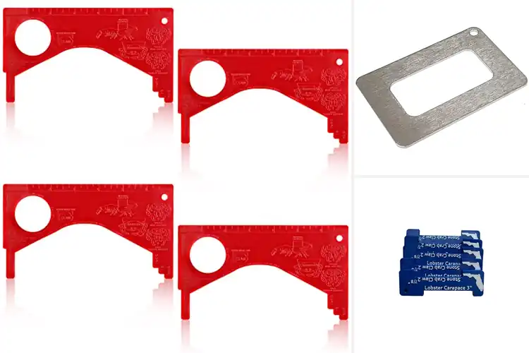 Detailed view of Best Shellfish Gauges