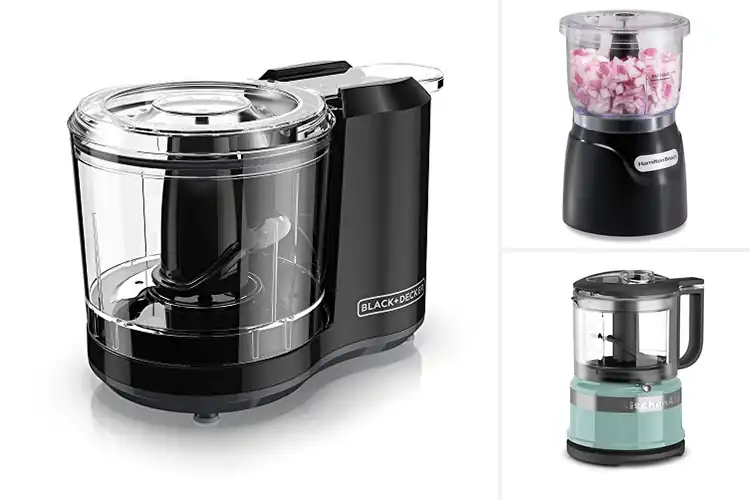 Detailed view of Best Small Food Choppers