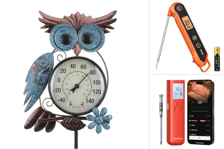 Detailed view of Best Thermometers For Gifts