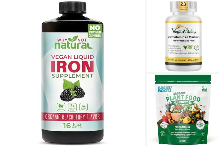 Detailed view of Best Vegan Formulations: Top 10 Plant-Based Health Boosters
