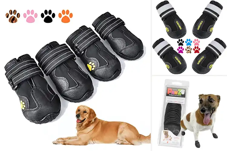 Detailed view of Best Water Resistant Dog Shoes