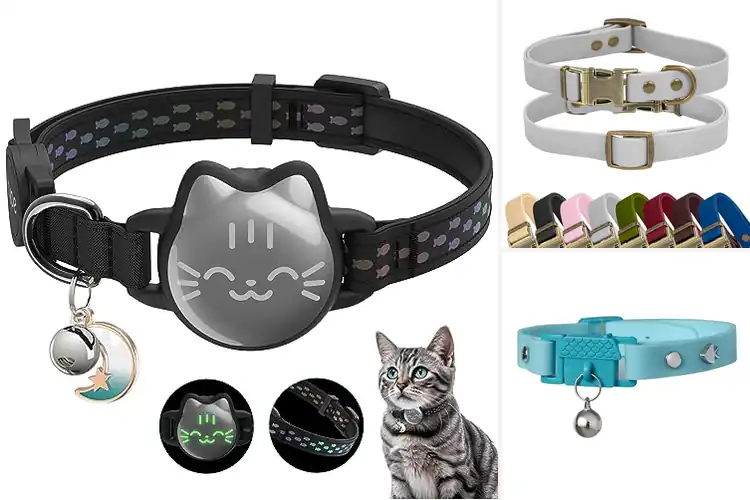 Detailed view of Best Waterproof Cat Collars