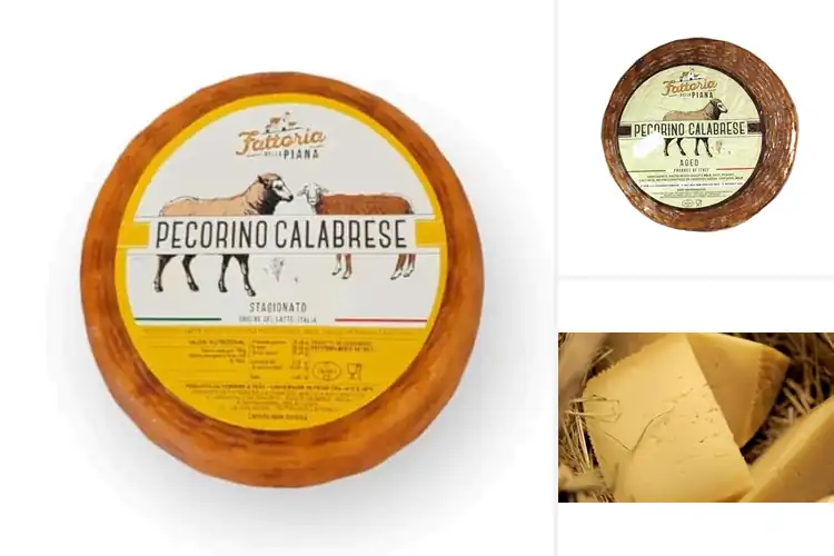 Detailed view of Best Whole Wheel Pecorino Calabrese