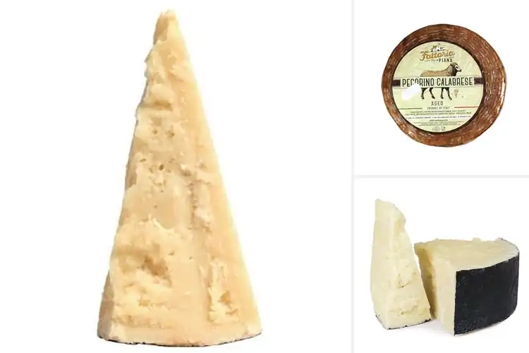 Detailed view of Best Wholesale Italian Pecorino Wheels